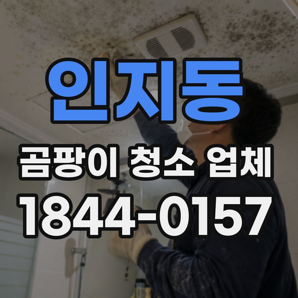 인지동 곰팡이 청소 업체