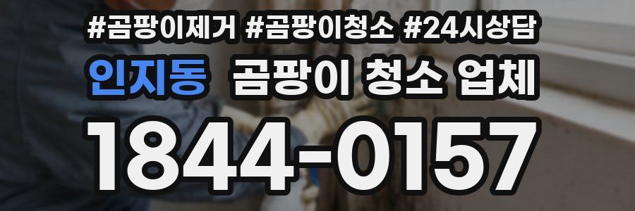 인지동 곰팡이 청소 업체