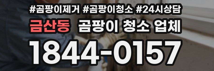 금산동 곰팡이 청소 업체