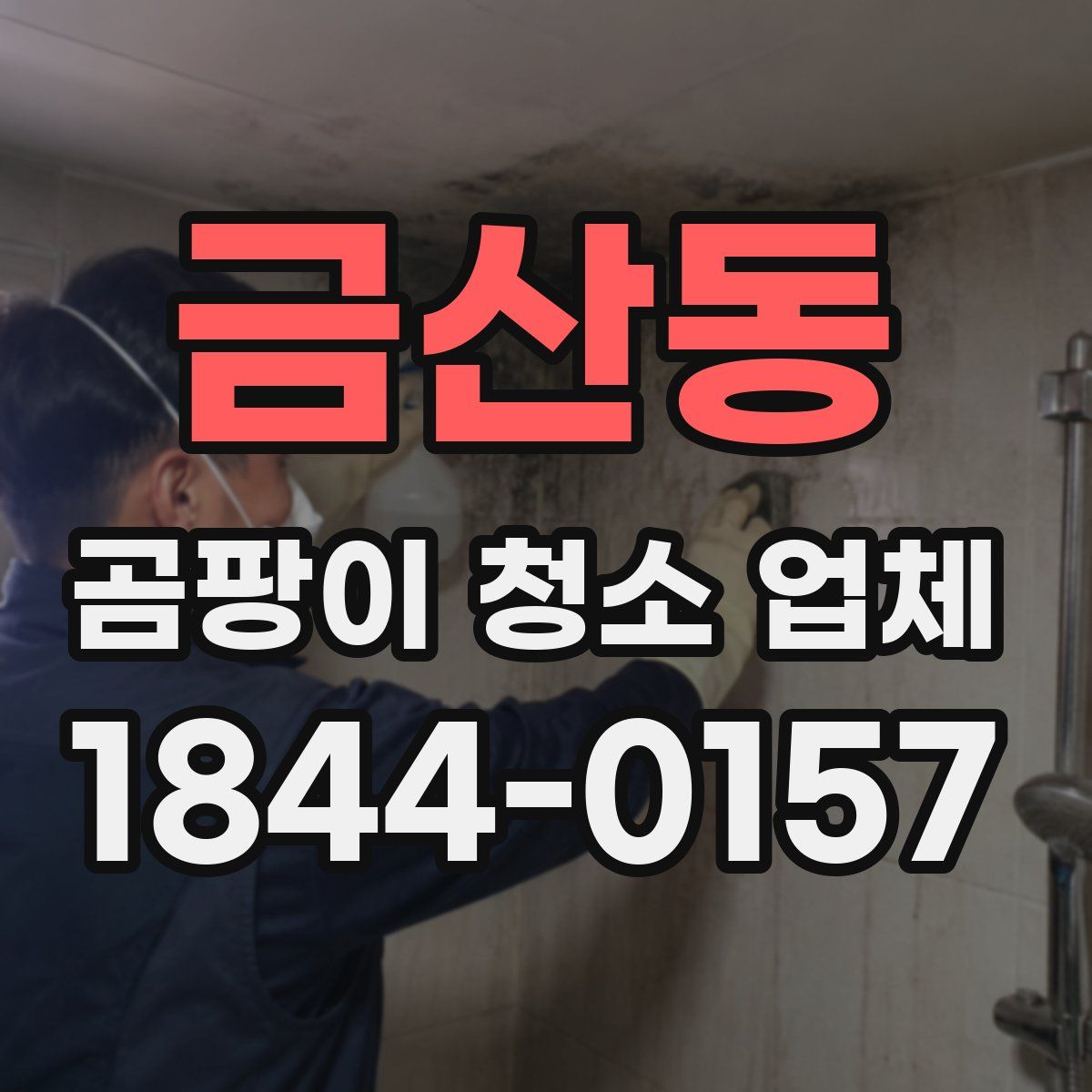금산동 곰팡이 청소 업체