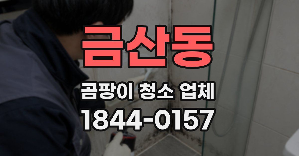 금산동 곰팡이 청소 업체
