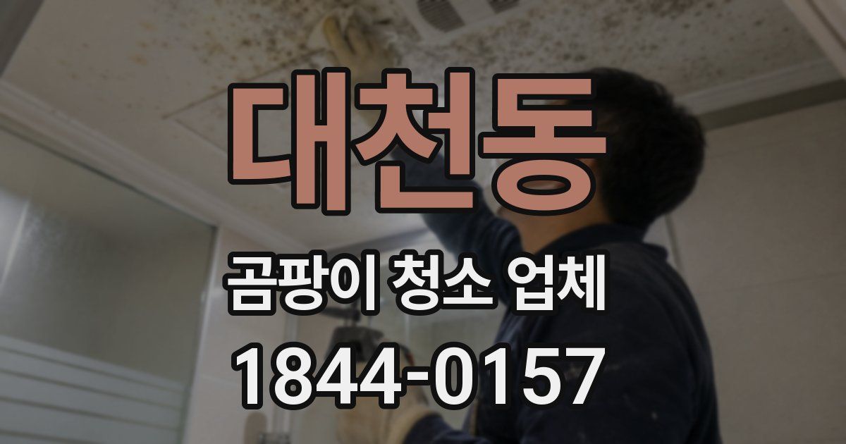 대천동 곰팡이 청소 업체