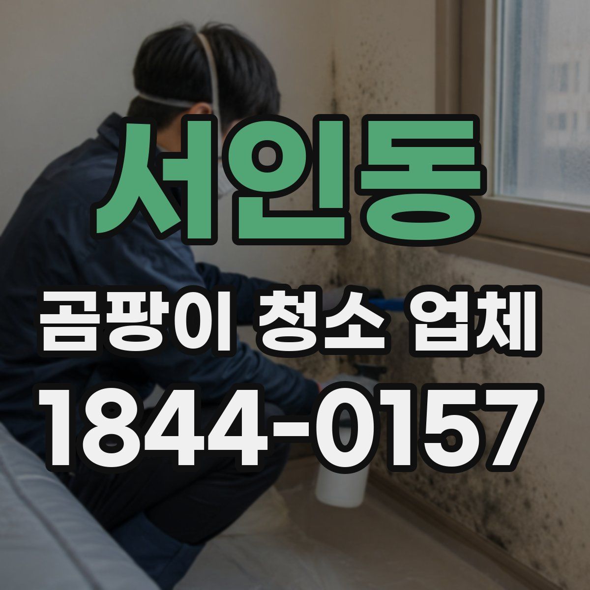 서인동 곰팡이 청소 업체