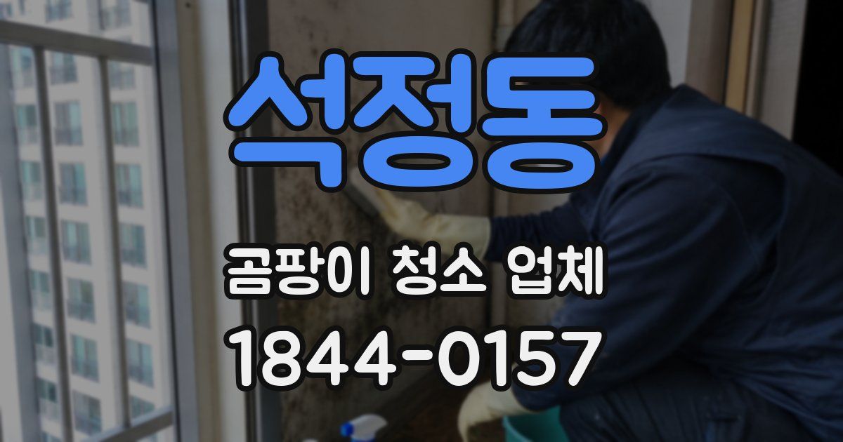 석정동 곰팡이 청소 업체