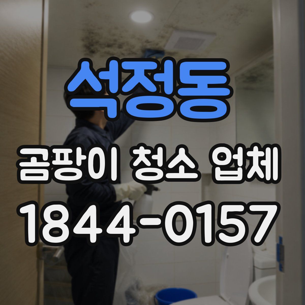 석정동 곰팡이 청소 업체
