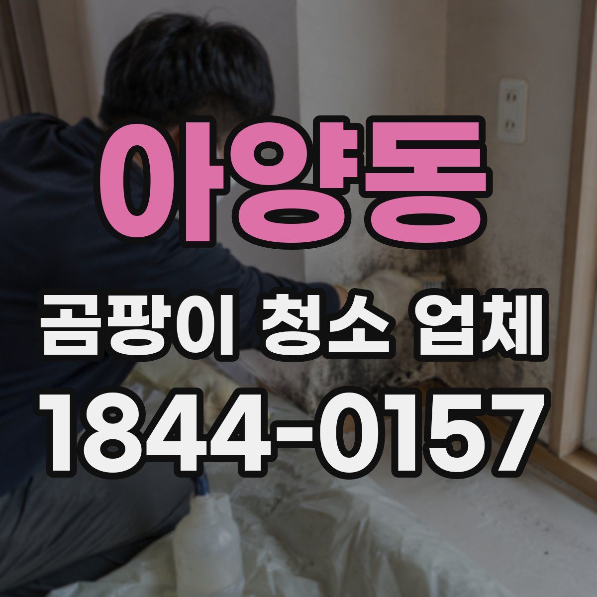 아양동 곰팡이 청소 업체