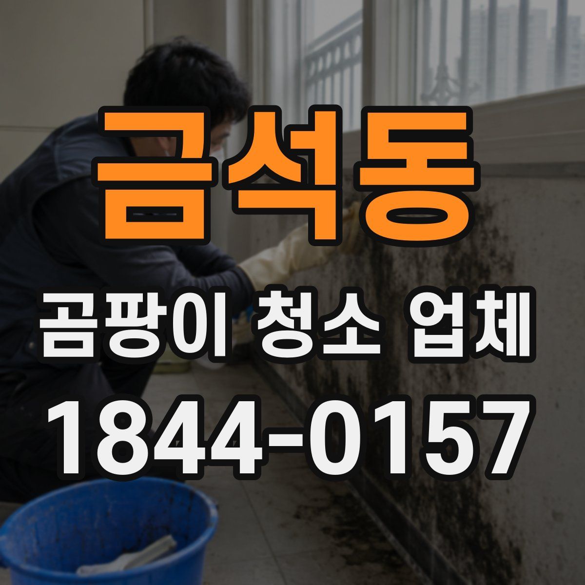 금석동 곰팡이 청소 업체