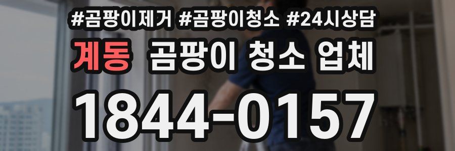 계동 곰팡이 청소 업체
