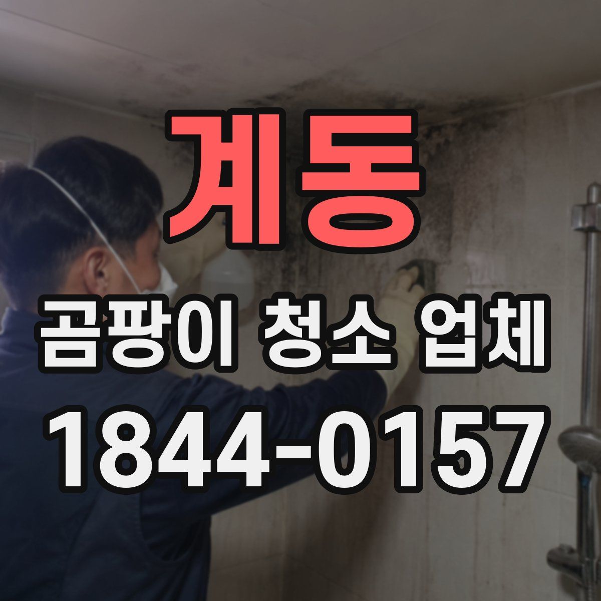 계동 곰팡이 청소 업체