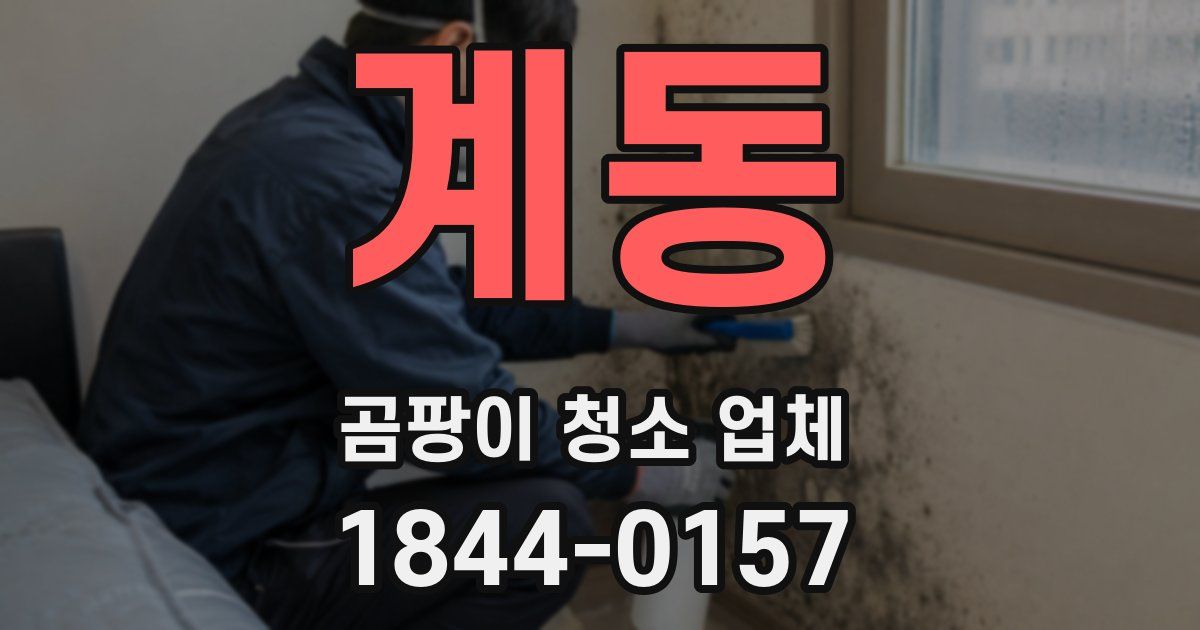 계동 곰팡이 청소 업체