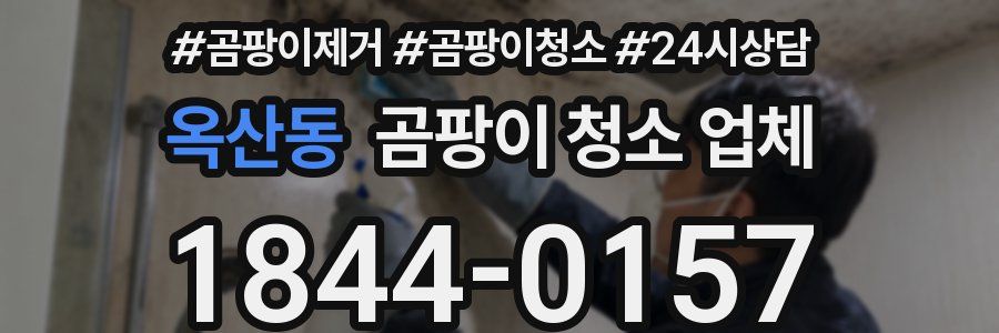 옥산동 곰팡이 청소 업체