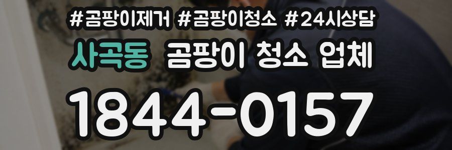 사곡동 곰팡이 청소 업체
