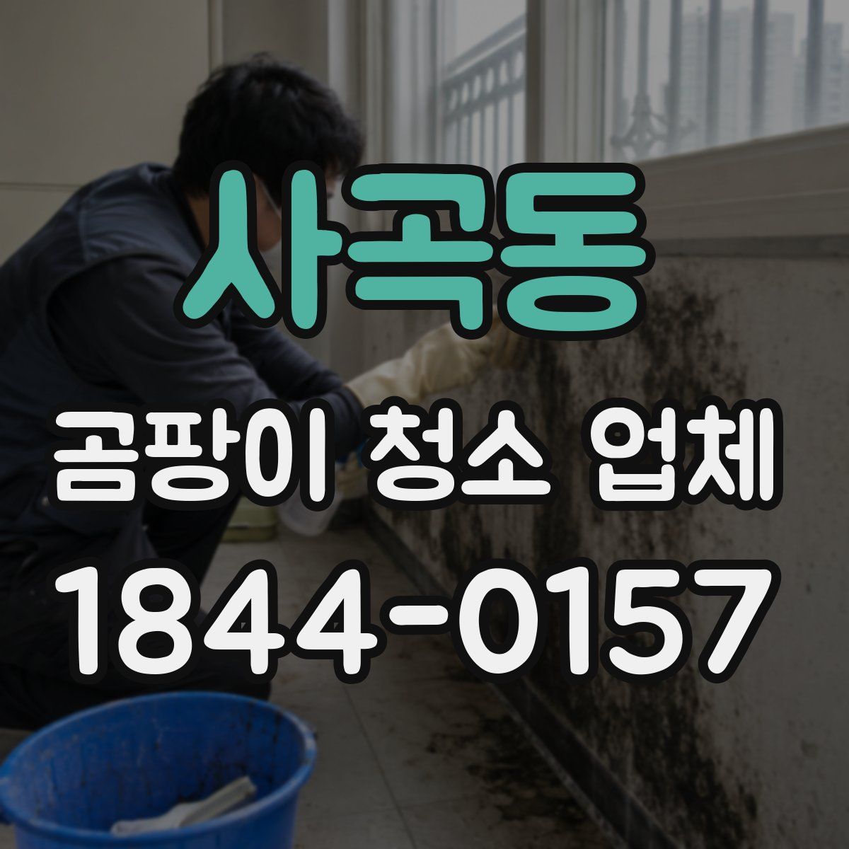 사곡동 곰팡이 청소 업체