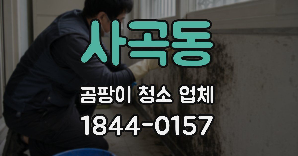 사곡동 곰팡이 청소 업체
