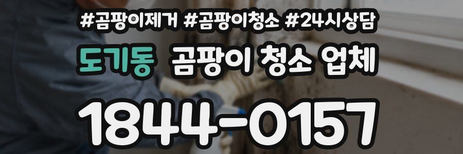 도기동 곰팡이 청소 업체