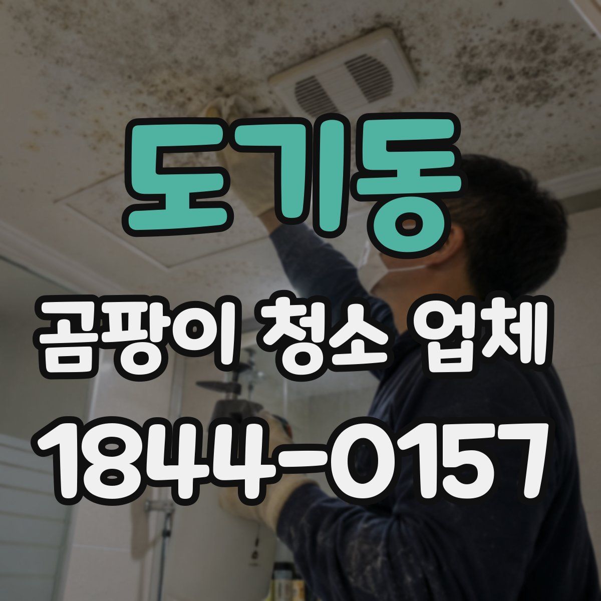 도기동 곰팡이 청소 업체