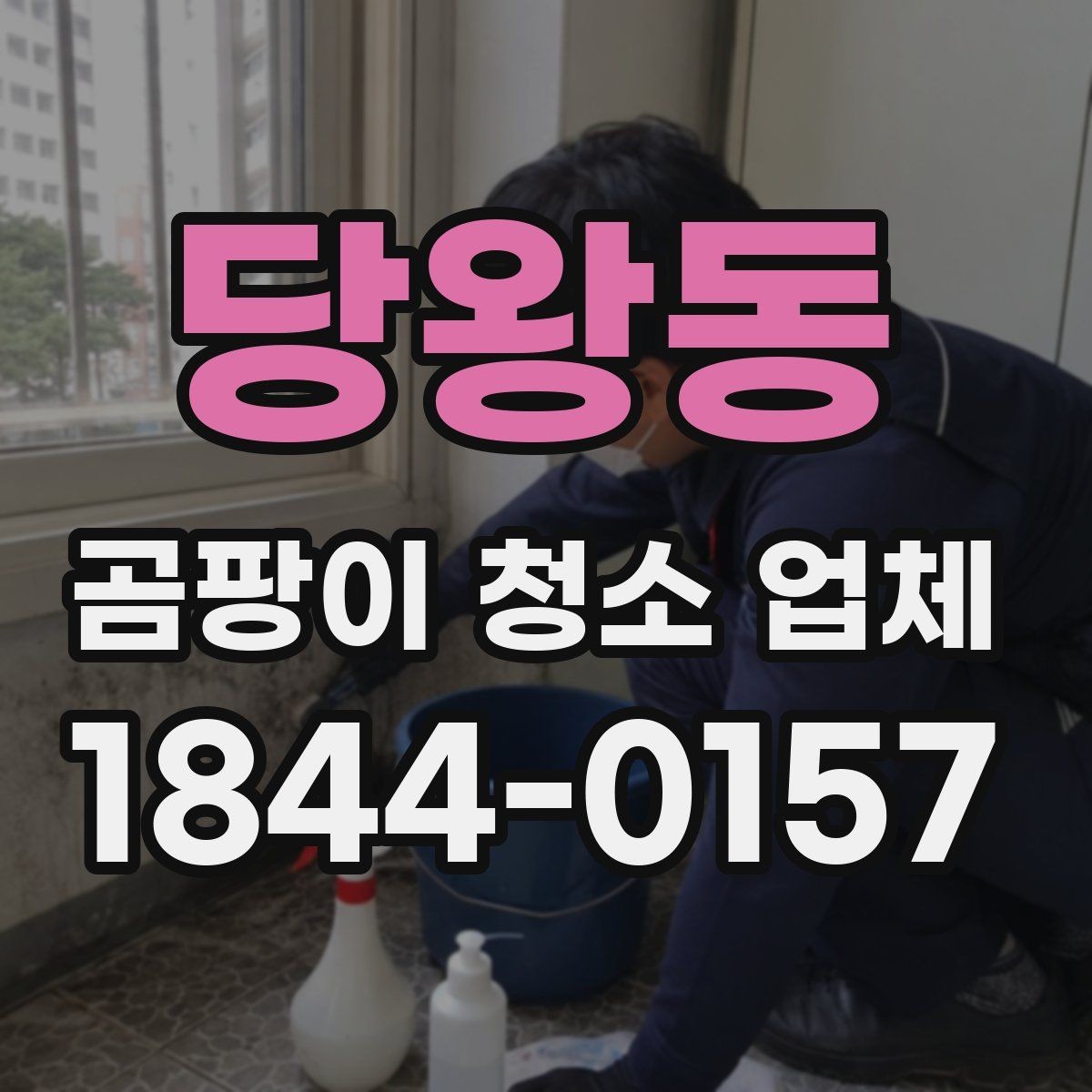 당왕동 곰팡이 청소 업체 실내 안전성을 먼저 확인해야 하는 이유