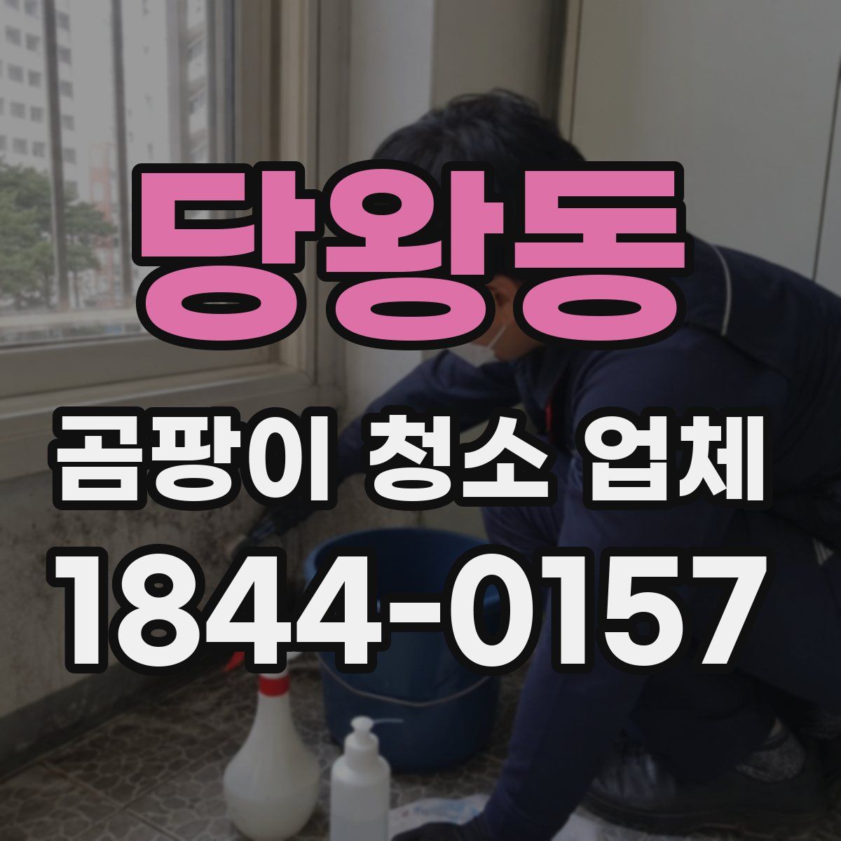 당왕동 곰팡이 청소 업체