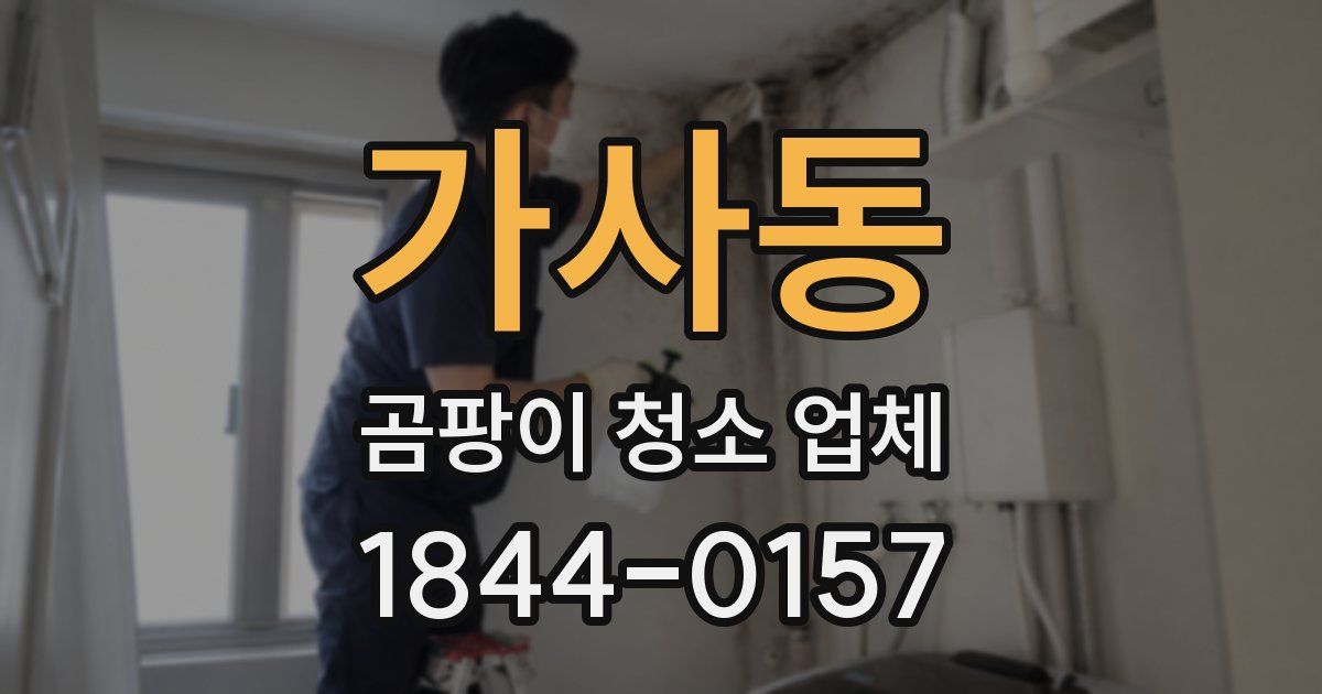 가사동 곰팡이 청소 업체