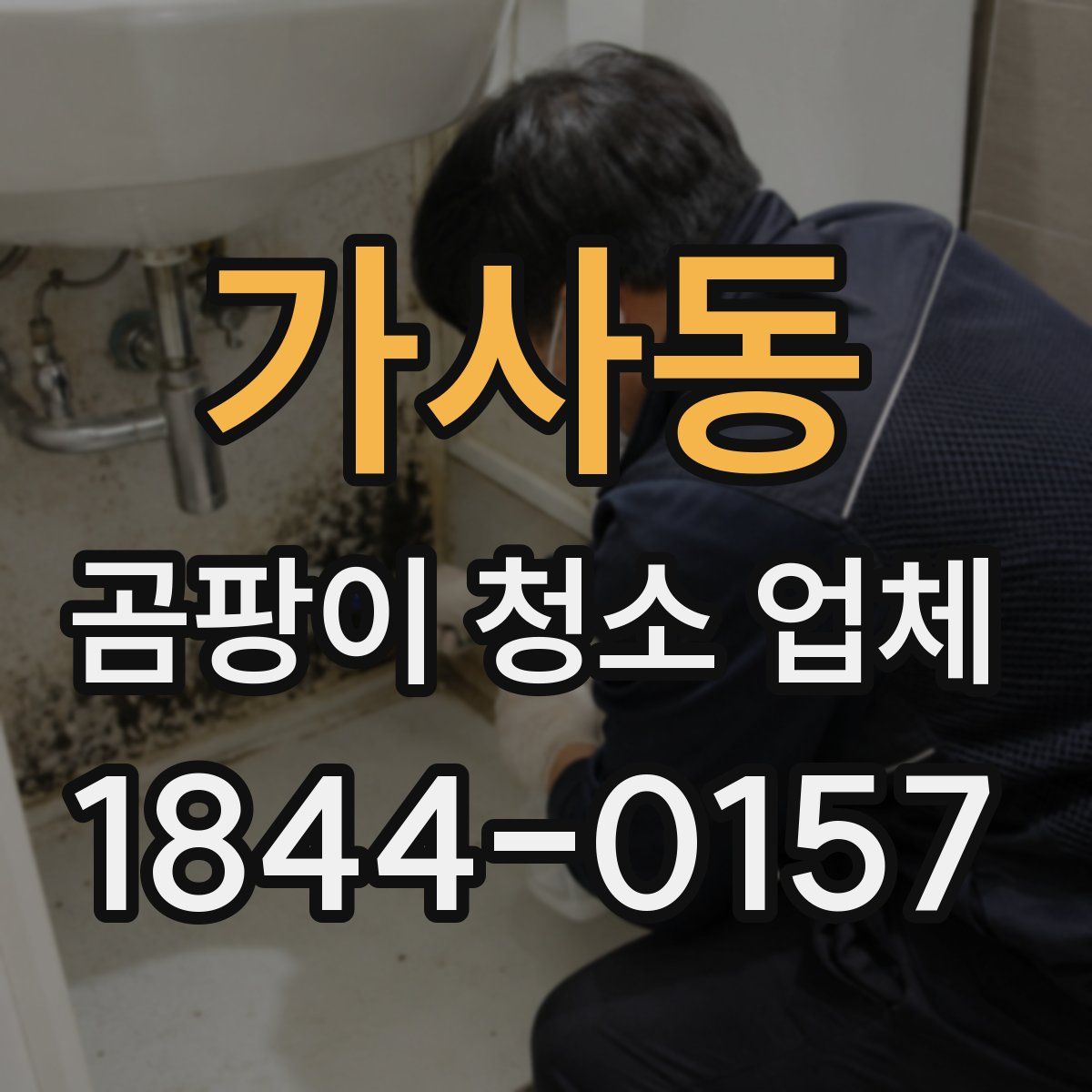 가사동 곰팡이 청소 업체