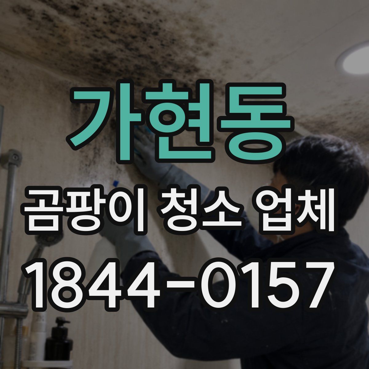 가현동 곰팡이 청소 업체