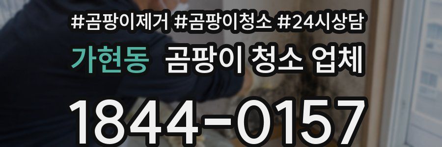 가현동 곰팡이 청소 업체