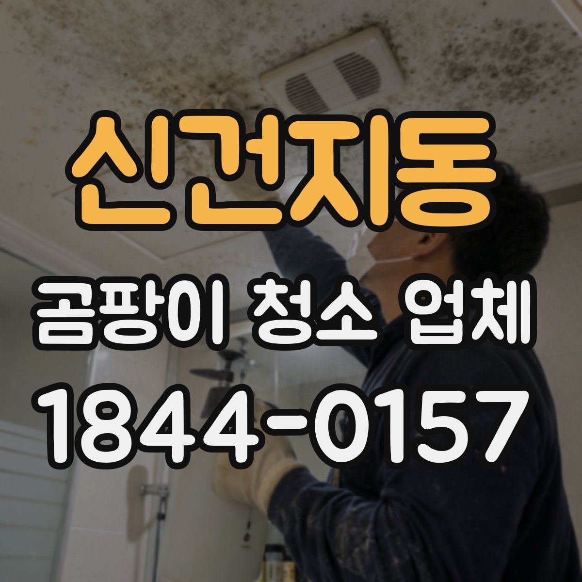 신건지동 곰팡이 청소 업체