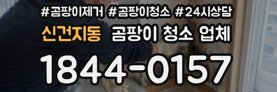 신건지동 곰팡이 청소 업체