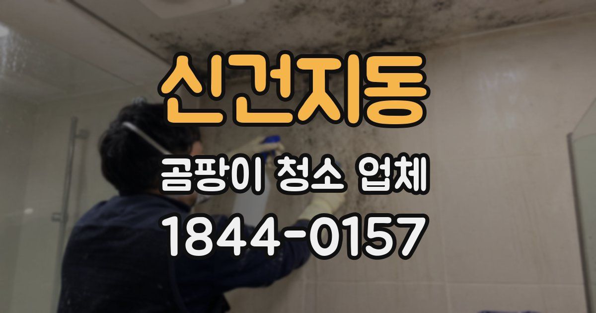 신건지동 곰팡이 청소 업체