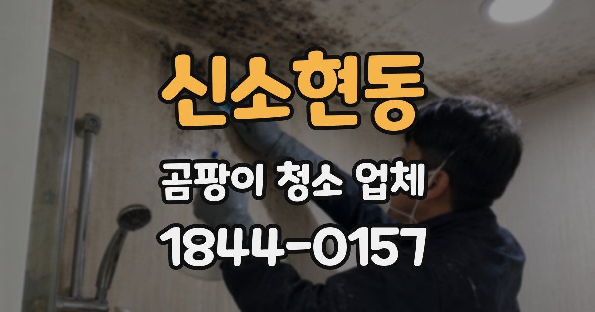 신소현동 곰팡이 청소 업체