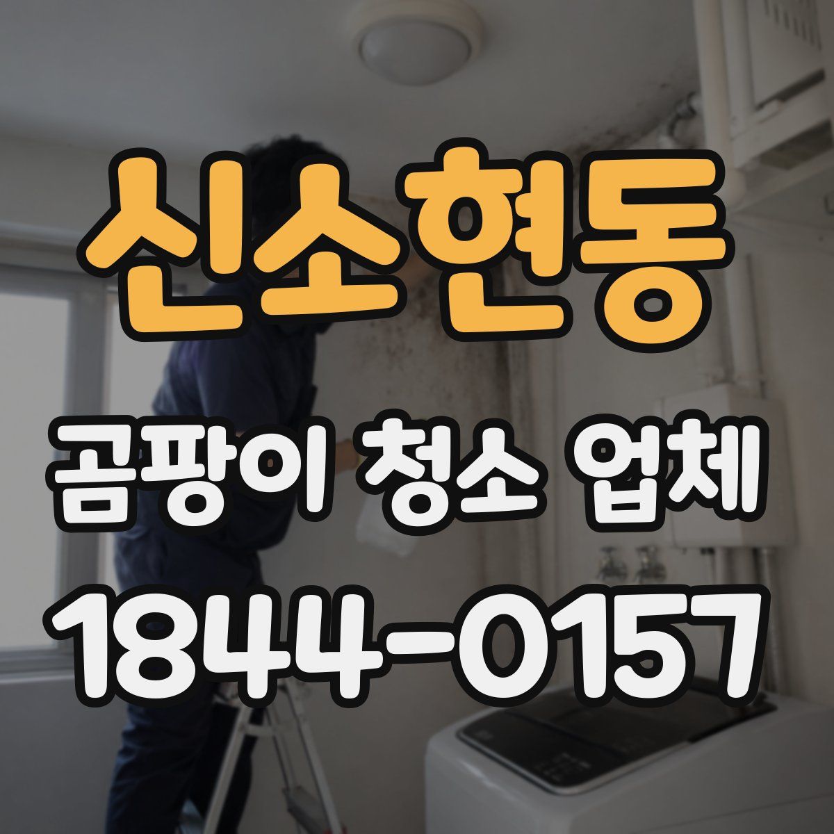 신소현동 곰팡이 청소 업체