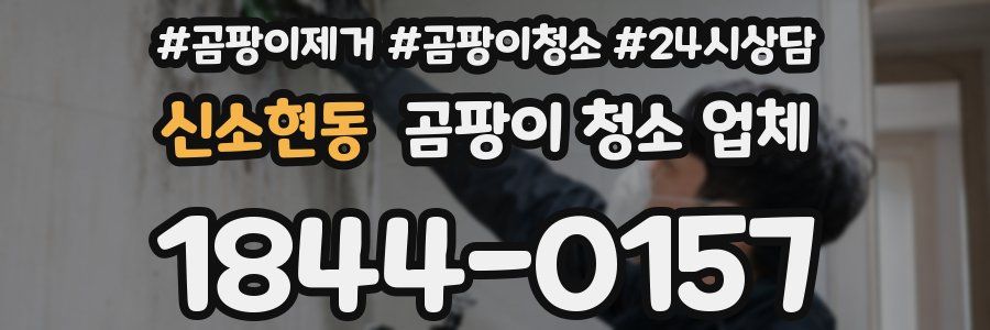 신소현동 곰팡이 청소 업체