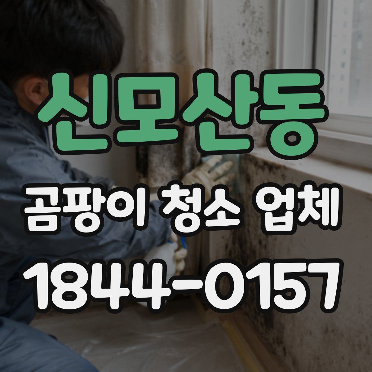 신모산동 곰팡이 청소 업체