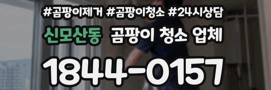 신모산동 곰팡이 청소 업체