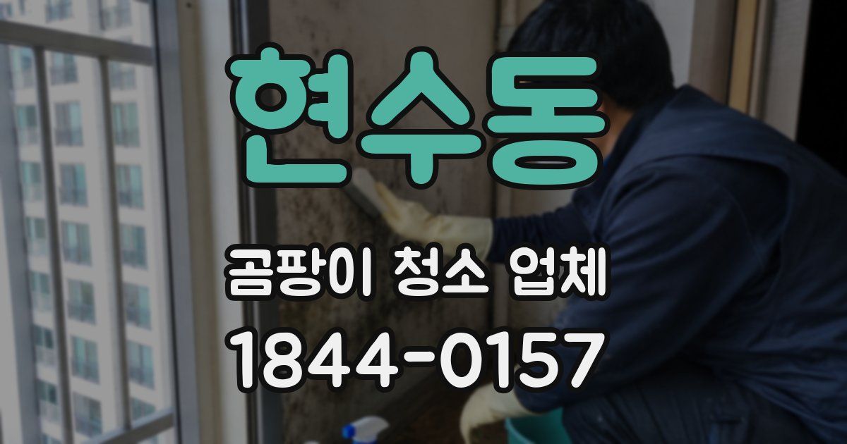 현수동 곰팡이 청소 업체