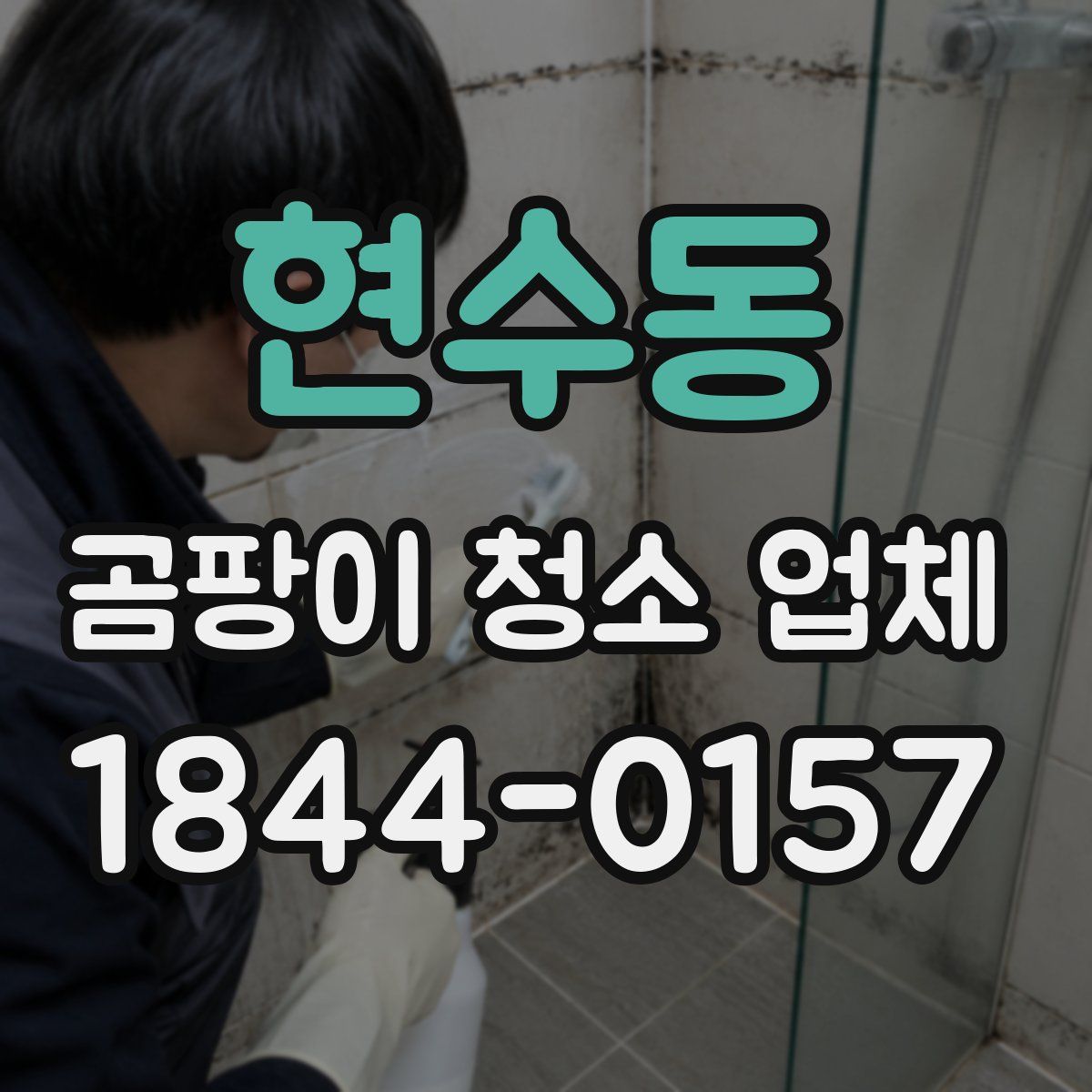 현수동 곰팡이 청소 업체