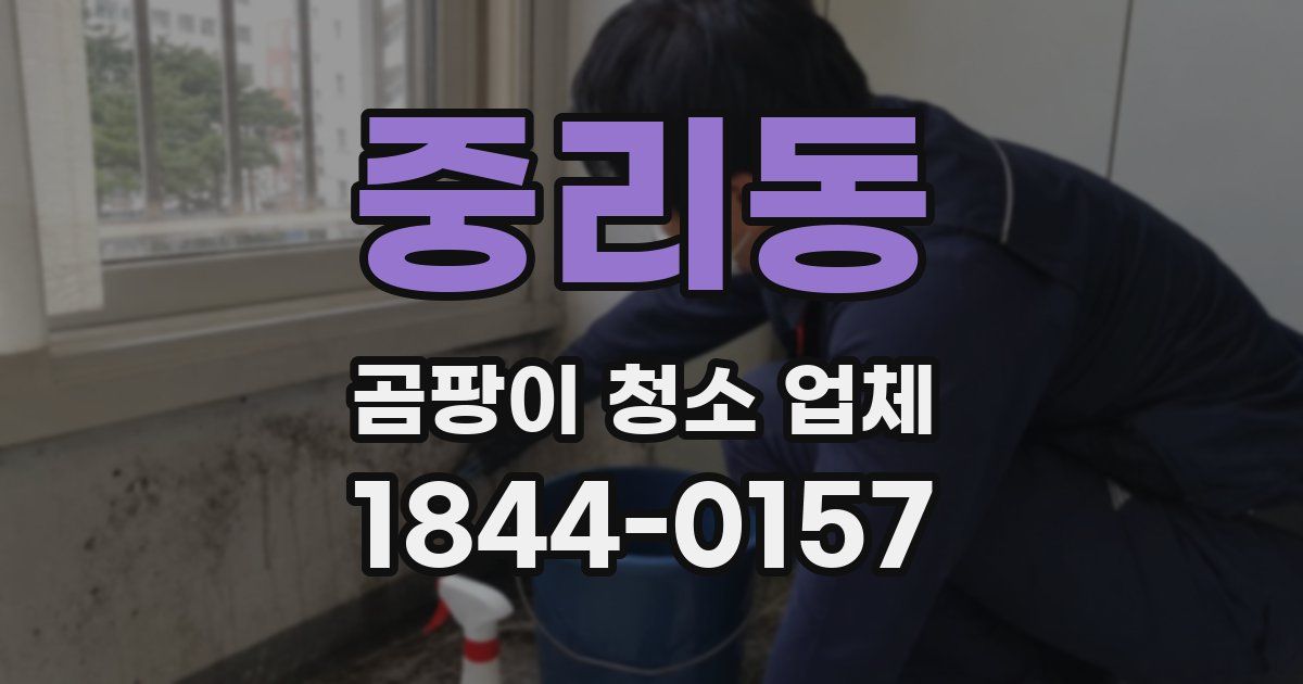 중리동 곰팡이 청소 업체