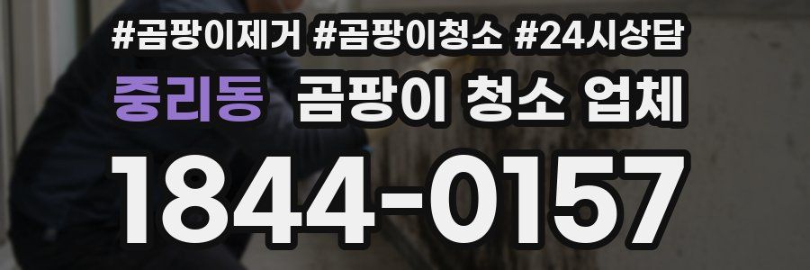 중리동 곰팡이 청소 업체
