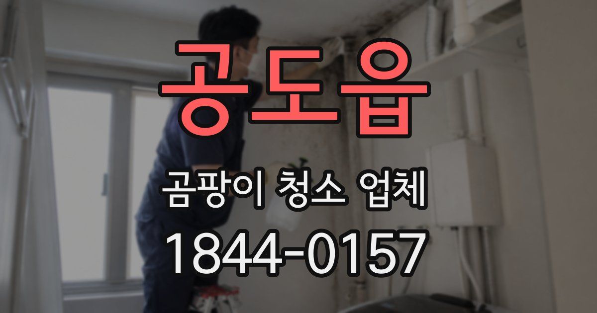 공도읍 곰팡이 청소 업체