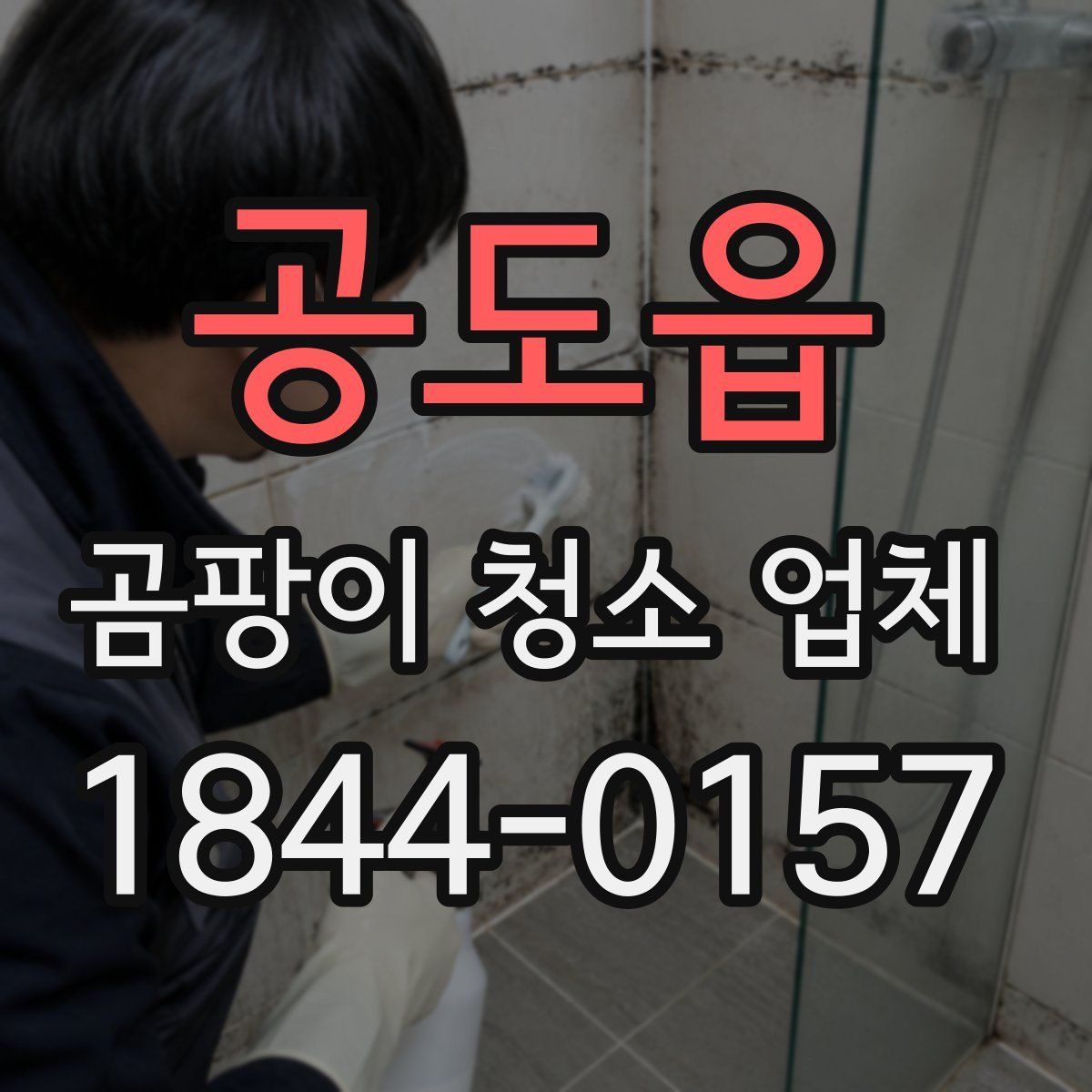공도읍 곰팡이 청소 업체