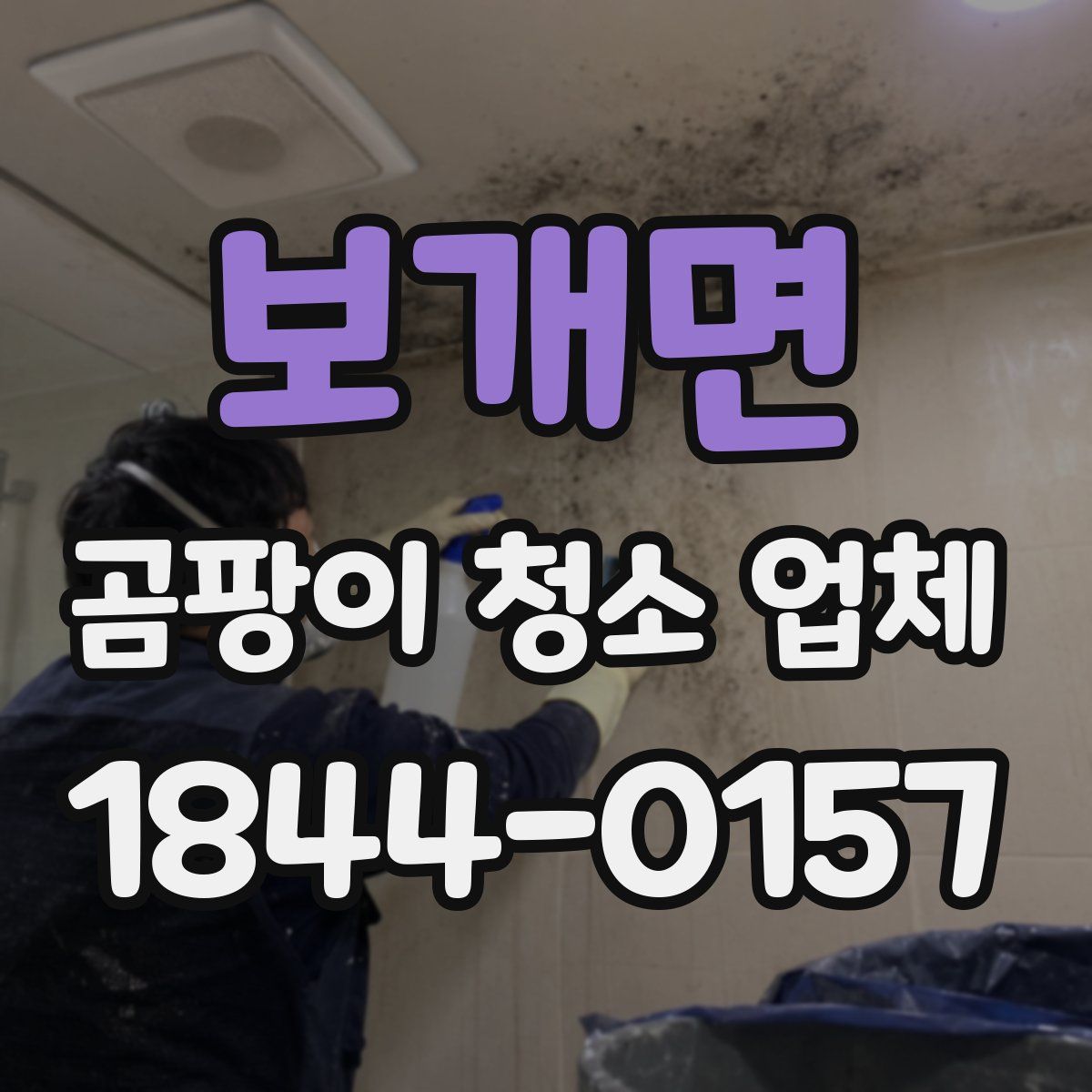 보개면 곰팡이 청소 업체