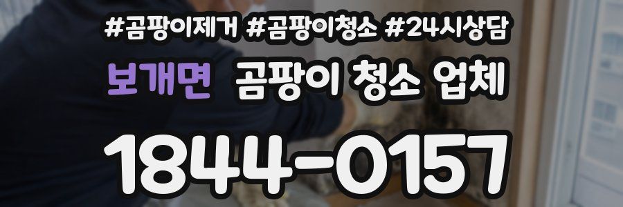 보개면 곰팡이 청소 업체