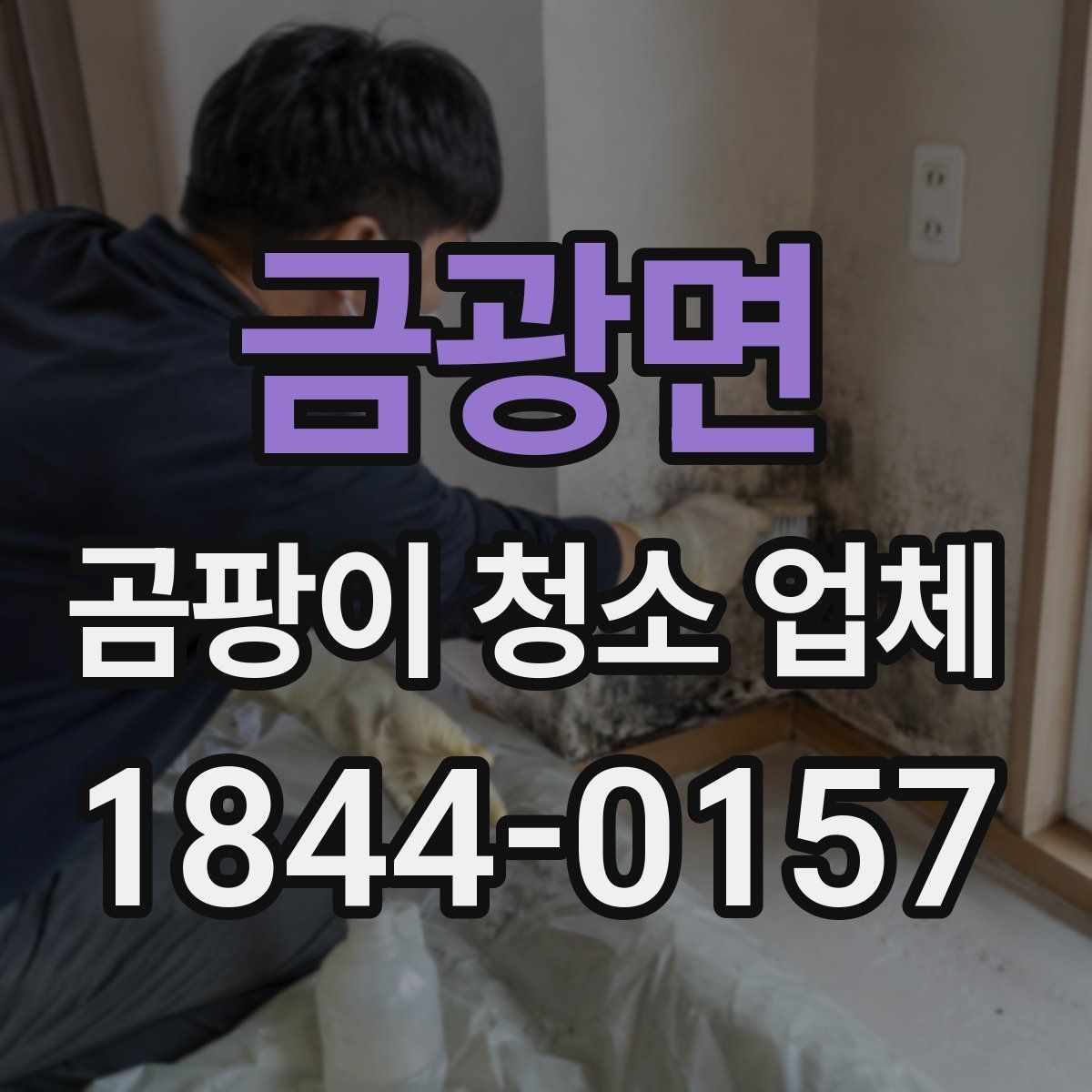 금광면 곰팡이 청소 업체