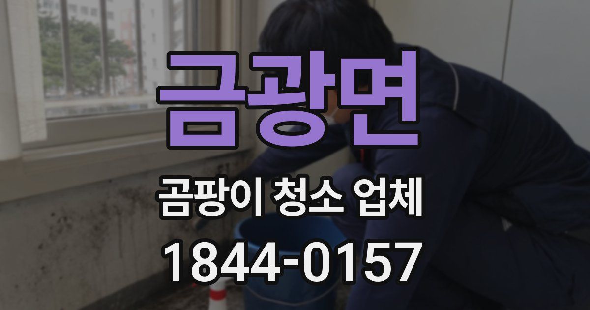 금광면 곰팡이 청소 업체