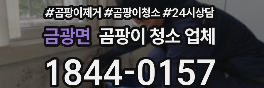 금광면 곰팡이 청소 업체