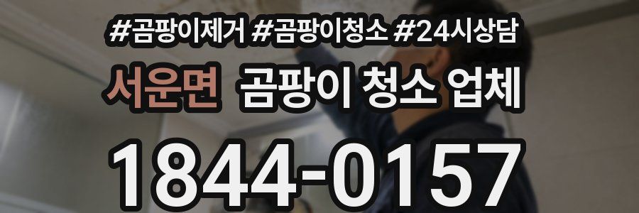 서운면 곰팡이 청소 업체