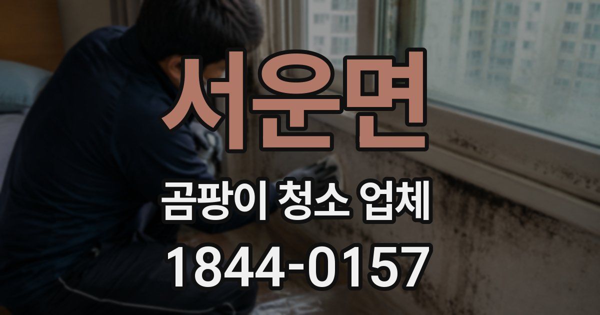 서운면 곰팡이 청소 업체