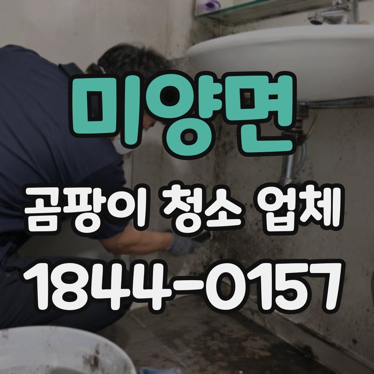 미양면 곰팡이 청소 업체 아이 방과 반려동물 공간 점검 포인트