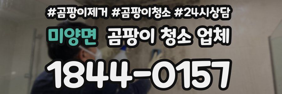 미양면 곰팡이 청소 업체