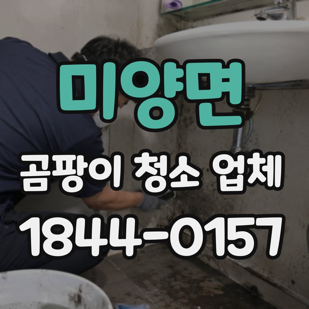 미양면 곰팡이 청소 업체